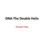 Dnathe Double Helix For Dna The Double Helix Worksheet Answer Key