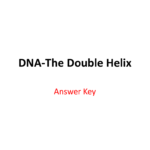 Dnathe Double Helix Throughout Dna The Double Helix Worksheet Answers
