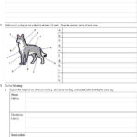 Dog Care Merit Badge Workbook  Pdf Pertaining To Dog Care Merit Badge Worksheet
