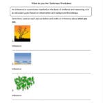 Drawing Conclusions Worksheets 3Rd Grade  Note9  Note9 With Regard To Drawing Conclusions Worksheets 3Rd Grade