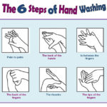 Ebug On Twitter " Including Ebug Worksheets  6 Steps Of Inside Hand Washing Worksheets