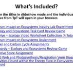Ecology And Ecosystems Activities And Assignments Package  Ppt Download Regarding Bill Nye Food Web Worksheet