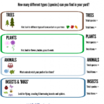Ecology Science Activity Biodiversity In Your Own Backyard Pertaining To Diversity Worksheets For Middle School