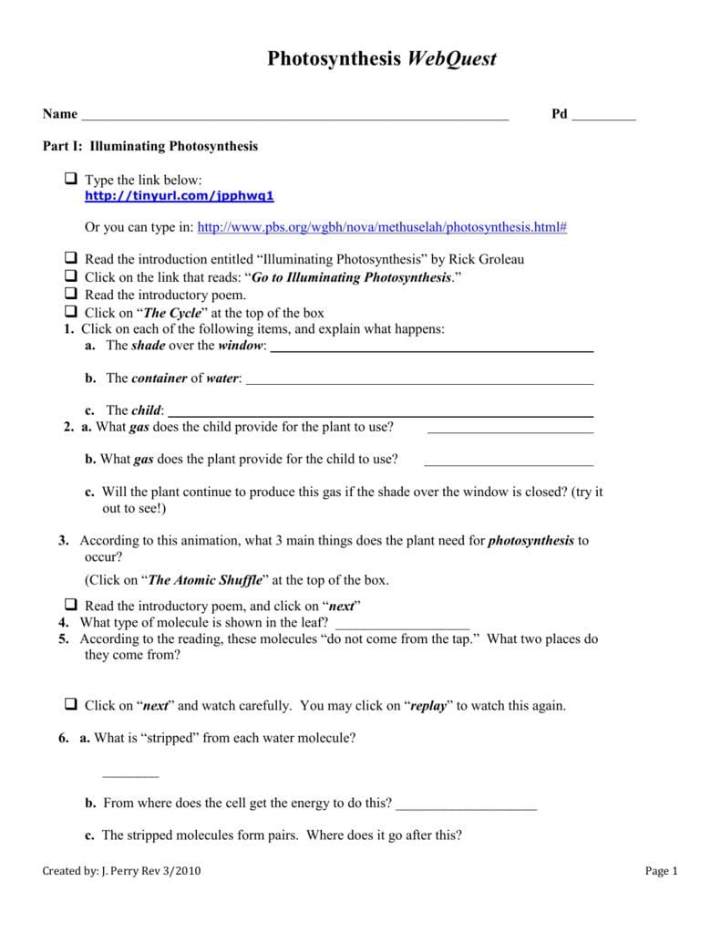 Effects Of Co2 On Plants Worksheet Answers  Briefencounters With Regard To Effects Of Co2 On Plants Worksheet Answers