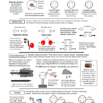 Electricity And Why It Moves And Voltage Current And Resistance Worksheet