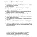 Energy Flow Through Living Systems Unit Review Intended For Energy Flow In Living Things Worksheet