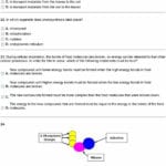 Energy Transformation Worksheet Answers Beautiful Diagram The Eye To With Energy Transformation Worksheet Answers