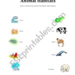 English Worksheets Animal Habitats Matching For Animal Habitats Worksheets
