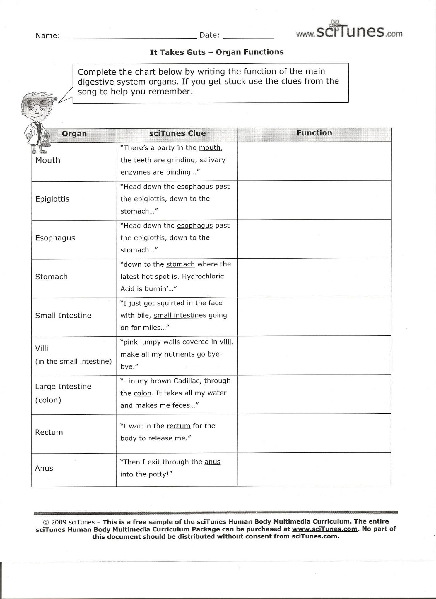 Enzymes And Their Functions Worksheet Answers  Briefencounters As Well As Enzymes And Their Functions Worksheet Answers