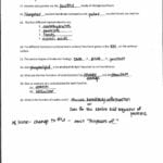 Enzymes And Their Functions Worksheet Answers  Briefencounters For Enzymes And Their Functions Worksheet Answers