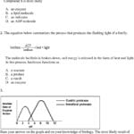 Enzymes Practice Enzyme Practice Worksheet New Writing Linear Regarding Enzymes And Their Functions Worksheet Answers