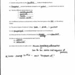Enzymes Practice Enzyme Practice Worksheet New Writing Linear Within Enzymes Review Worksheet