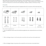 Evidence Of Evolution Packet As Well As Evidence Of Evolution Worksheet Answers