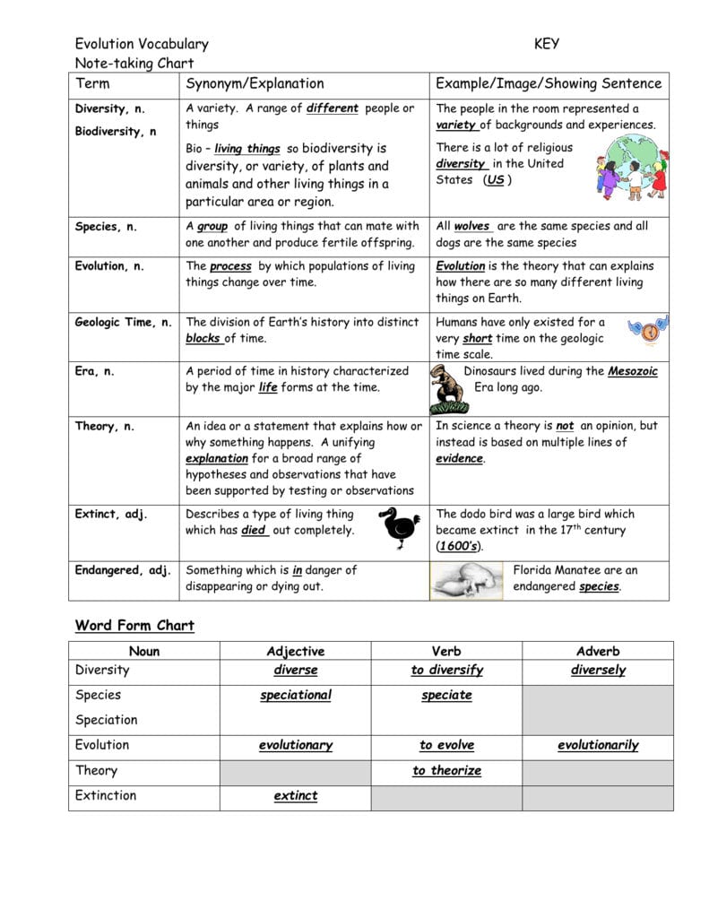 Evolution Vocabulary Notetaking Chart With Evolution Vocabulary Worksheet