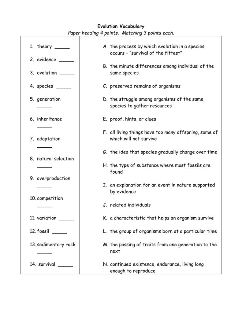 Evolution Vocabulary Together With Evolution Vocabulary Worksheet