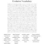 Evolution Vocabulary Word Search  Wordmint Within Evolution Vocabulary Worksheet