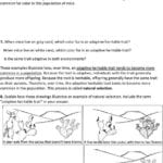 Evolutionnatural Selection 1  Pdf As Well As Evolution And Natural Selection Worksheet Answers