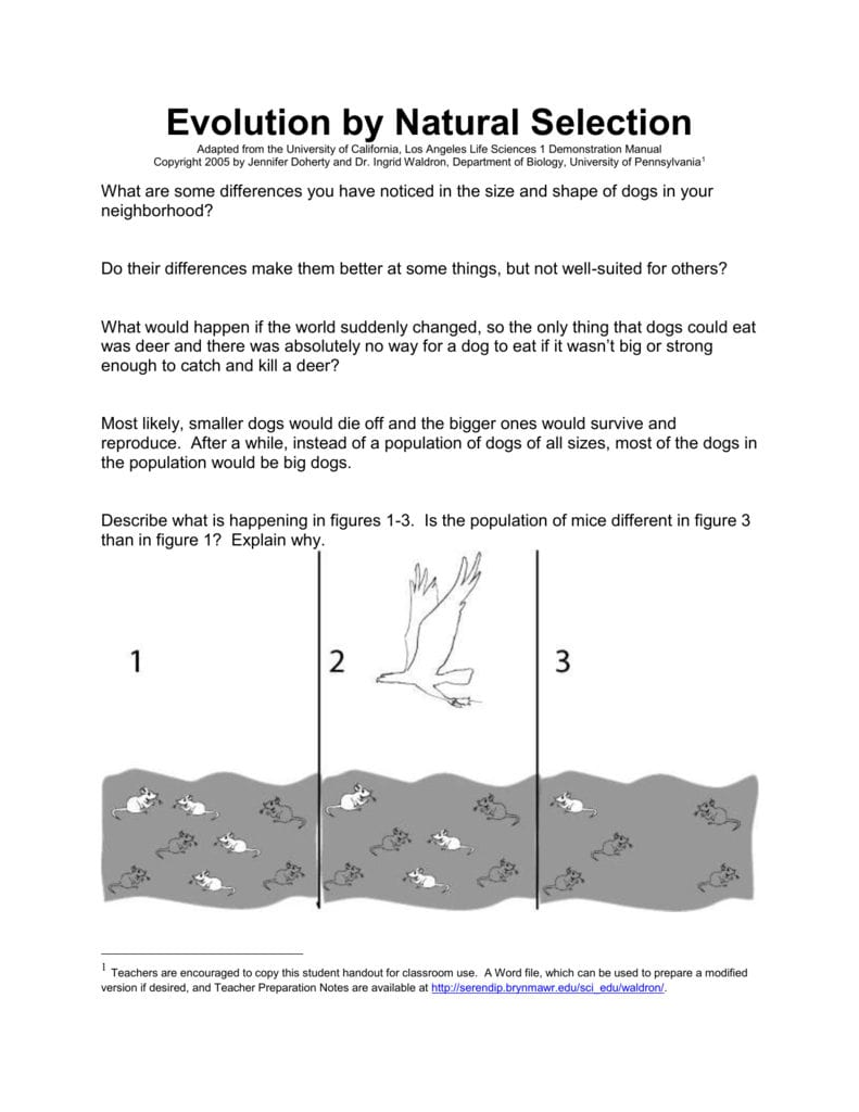 Evolutionnatural Selection Regarding Evolution By Natural Selection Worksheet Answers
