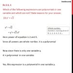 Ex 21 1  Which Of The Following Are Polynomials In One Together With Course 3 Chapter 2 Equations In One Variable Worksheet Answers