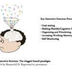 Executive Function Strategies The Building Blocks For Reading To Within Executive Function Worksheets For Adults