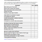 Fact Or Opinion Plants A Worksheet Enchantedlearning Also Comparing Plants Worksheet