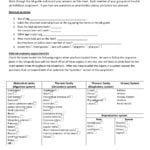 Fetal Pig Dissection Assignment As Well As Fetal Pig Dissection Worksheet Answer Key