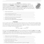 File 3B Photosynthesisrespiration As Well As Cellular Respiration Breaking Down Energy Worksheet