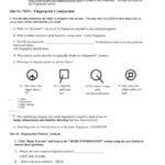 File  Alexis Rodriguez With Regard To Fingerprint Challenge Worksheet Answers