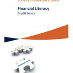 Financial Literacy Credit Basics  Pdf Within Financial Literacy Credit Basics Worksheet