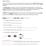 Fission Fusion Worksheet  Oaklandeffect Within Fission Fusion Worksheet Answers