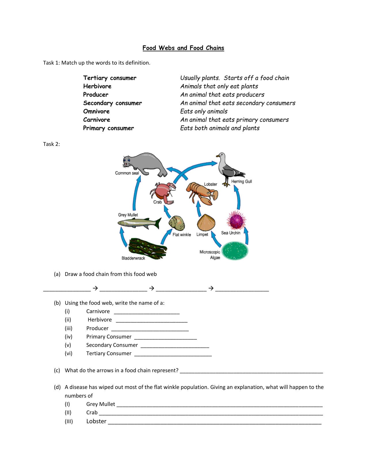 Food Chains And Webs Worksheet Regarding Draw A Food Web Worksheet