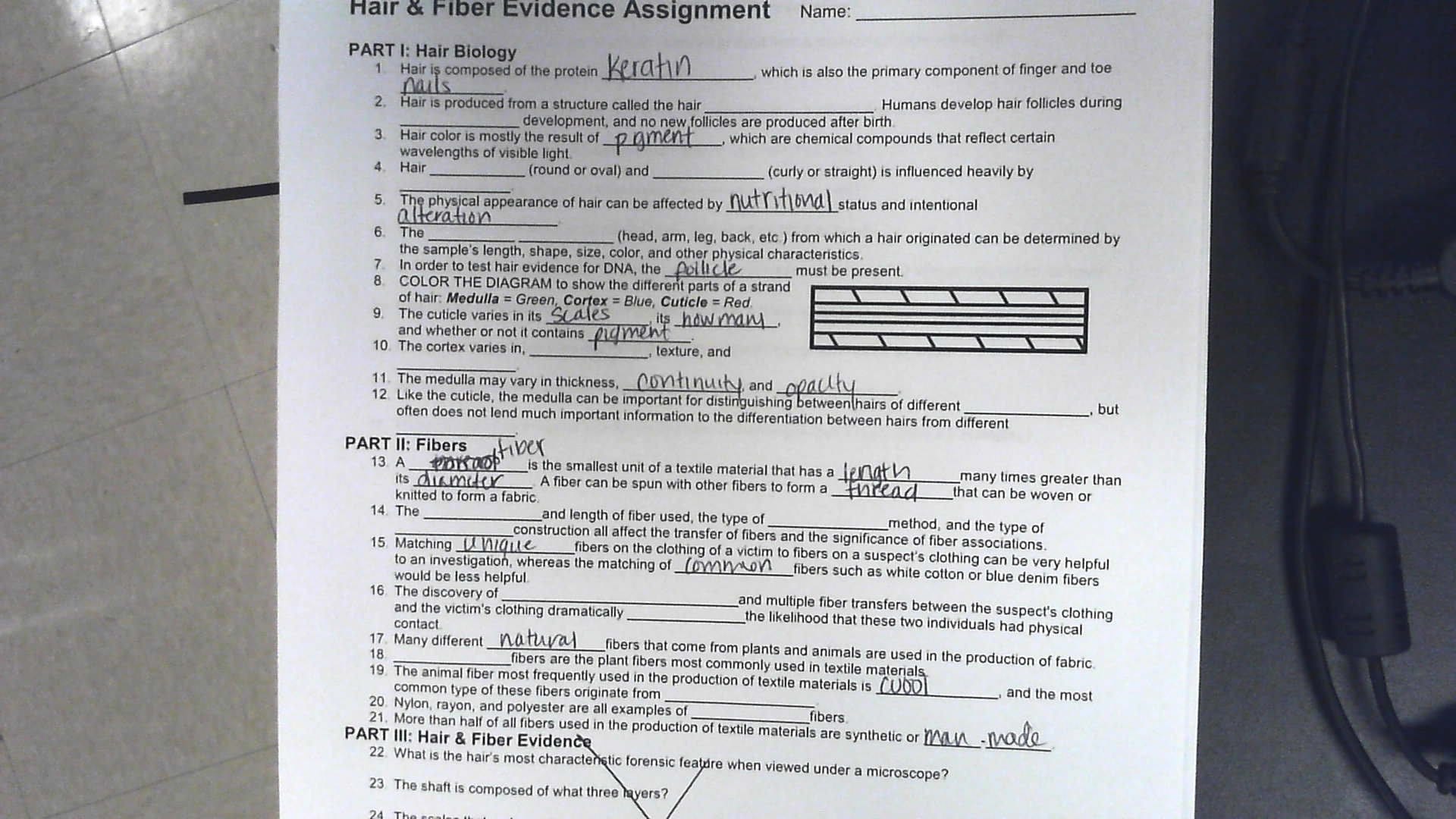 Forensic Science  Mrs Tituscostello's Science Website Intended For Hair And Fiber Unit Worksheet Answers