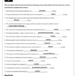 Forms Of Energy Worksheet Answer Key Multiplication Worksheets Grade For Introduction To Energy Worksheet Answers