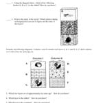 Fossils Worksheet – Earth Science Or Relative Ages Of Rocks Worksheet Answers