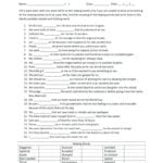 Fourth Grade Vocabulary Words Math – Nagasakeeclub Pertaining To 4Th Grade Vocabulary Worksheets