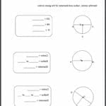 Free Body Diagram Practice Worksheet Diffusion And Osmosis Worksheet For Diffusion And Osmosis Worksheet Answer Key
