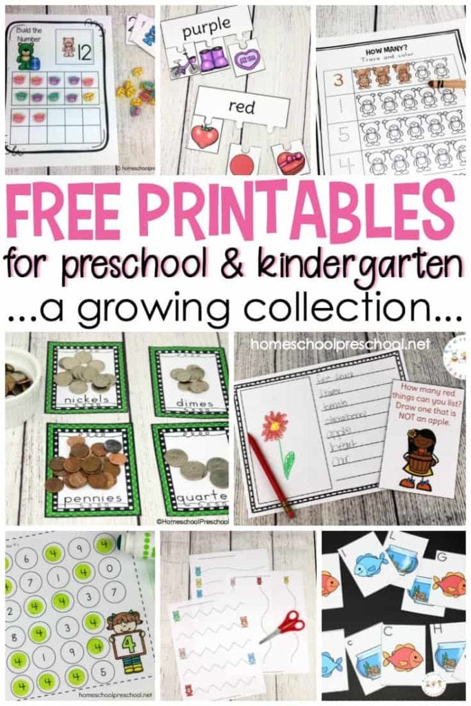 Free Printable Homeschool Worksheets — excelguider.com