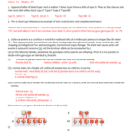 Genetics Problems Worksheet Answers With Regard To Genetics Problems Worksheet 1 Answer Key