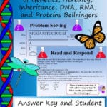 Genetics The Science Of Heredity The Test Cross Worksheet Answers Within Genetics The Science Of Heredity The Test Cross Worksheet Answers