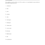 Genetics Vocabulary Worksheet In Genetics Basics Worksheet