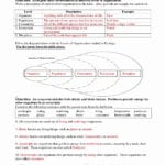 Getting Paid Reinforcement Worksheet Answers  Briefencounters Inside Ecology Review Worksheet 1