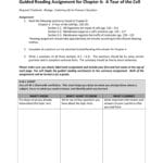 Guided Reading Assignment For Chapter 6 A Tour Of Or Read Theory Worksheets