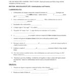 Guided Reading Worksheet 1 – Chapter 3 Use The Book For With Regard To Molecules Of Life Worksheet