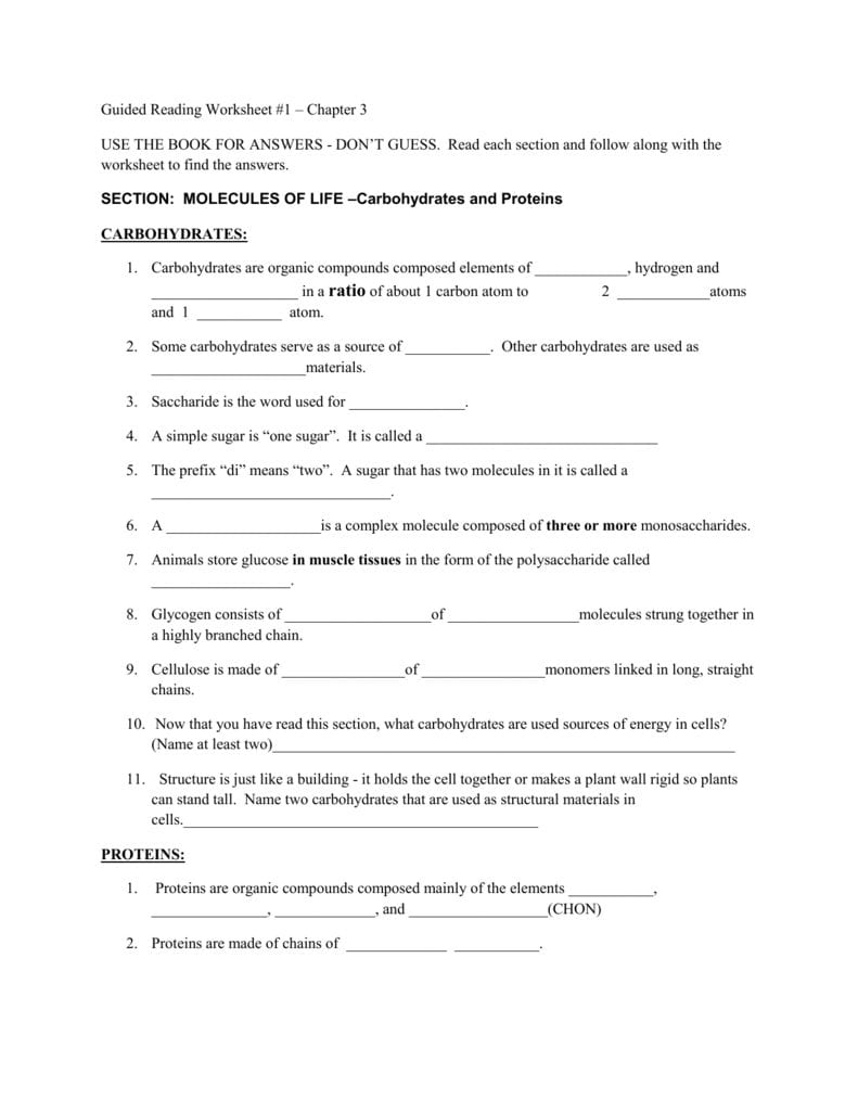 Guided Reading Worksheet 1 – Chapter 3 Use The Book For With Regard To Molecules Of Life Worksheet