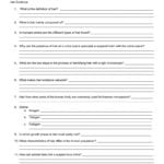 Hair And Fiber Evidence Worksheet Answers  Yooob For Hair And Fiber Unit Worksheet Answers