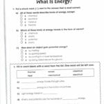 Healthy Boundaries Worksheet Creating Maintaining Relationship Together With Trauma Worksheets Therapy