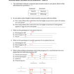 Heredity Worksheet Answers Pertaining To Genetics The Science Of Heredity The Test Cross Worksheet Answers