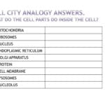 How Many Bacteria Can Fit In A Cm Can You See Cells  Ppt Download Or Cells Alive Bacterial Cell Worksheet Answer Key