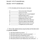 How Much How Many Practice Worksheet  Free Esl Printable Within English Worksheets Exercises
