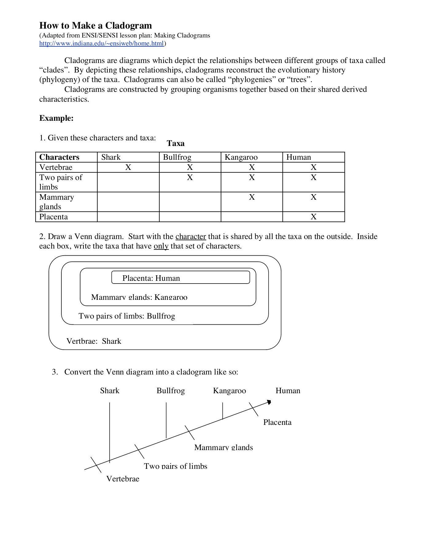 How To Make A Cladogram  Boston University  Fliphtml5 As Well As Cladogram Worksheet Answers